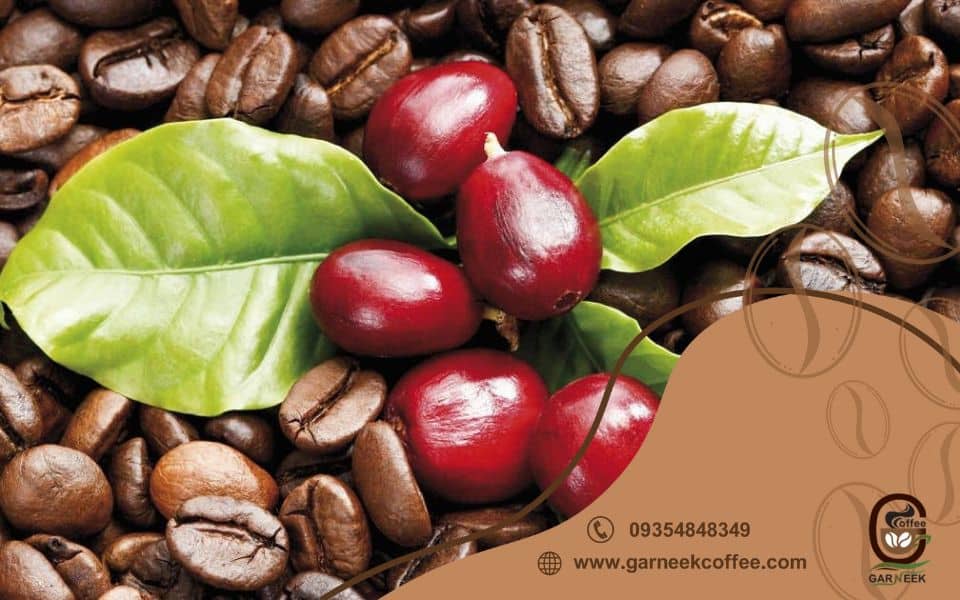 دانه های قهوه عربیکا